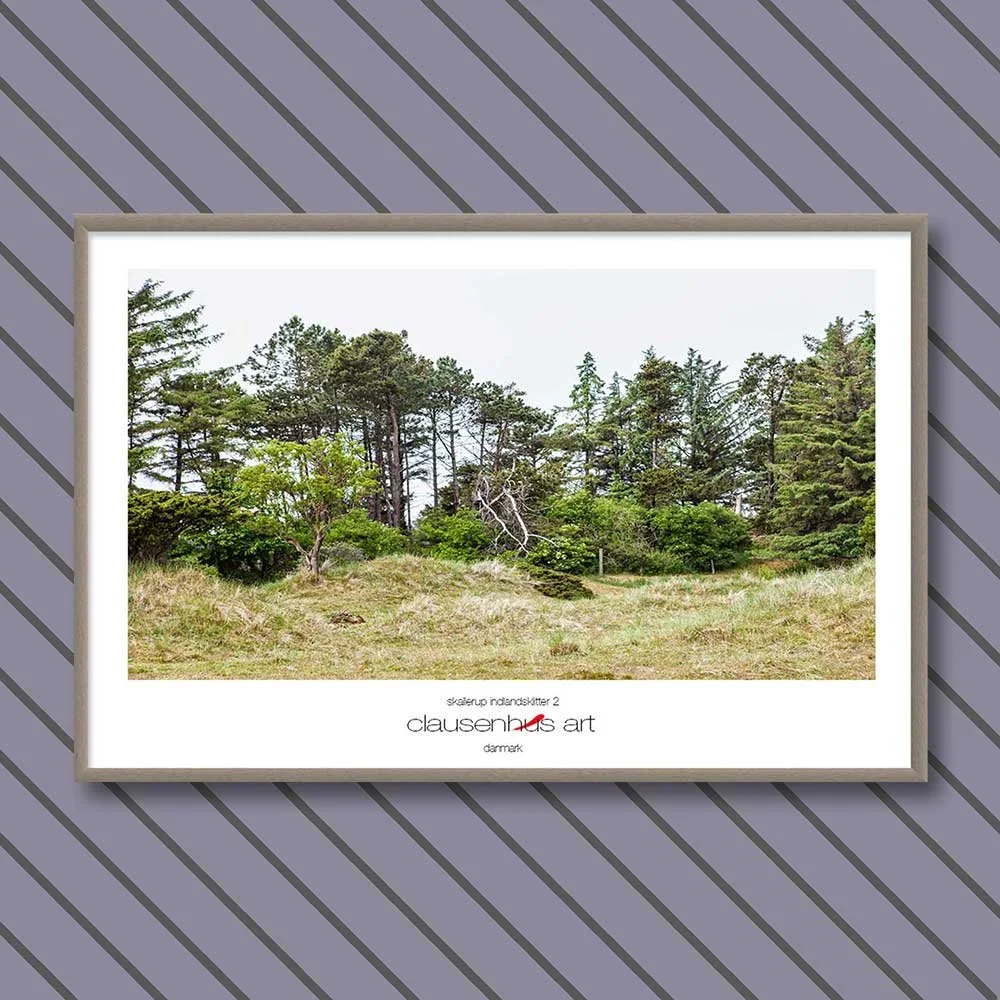 skallerup-indlandsklitter-2.jpg