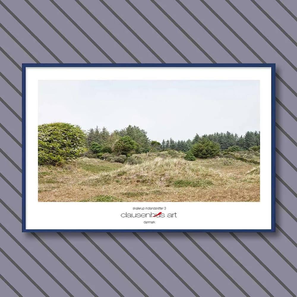 skallerup-indlandsklitter-3.jpg