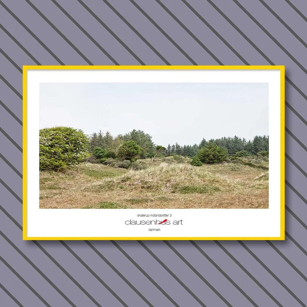 skallerup-indlandsklitter-3.jpg