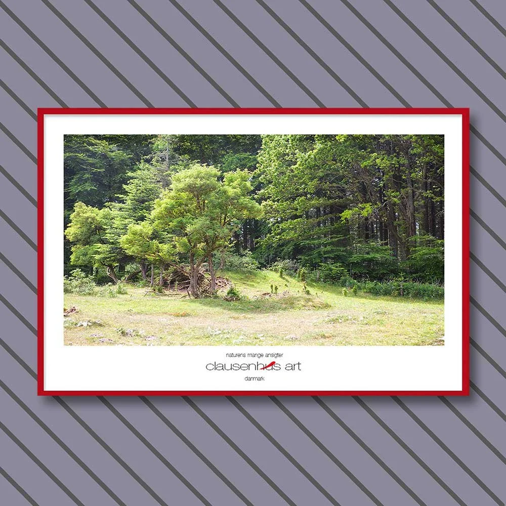 naturens-mange-ansigter.jpg