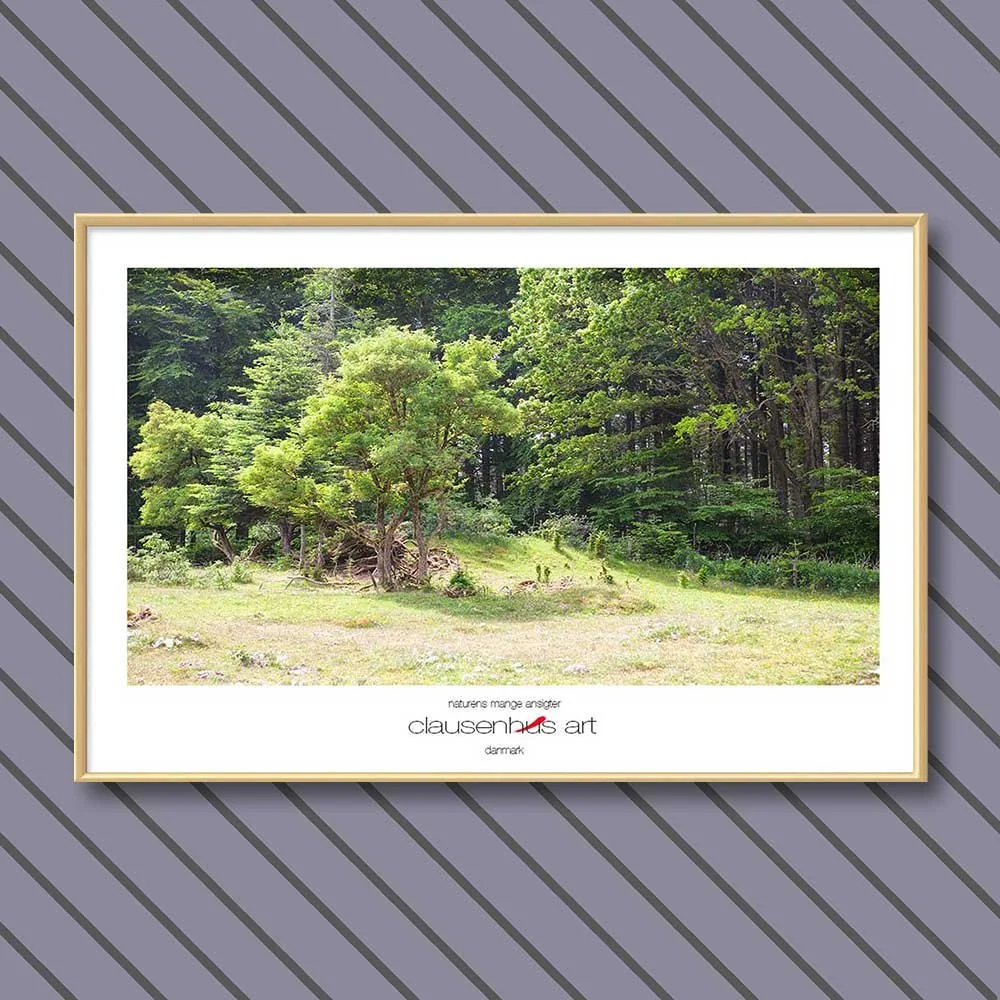 naturens-mange-ansigter.jpg