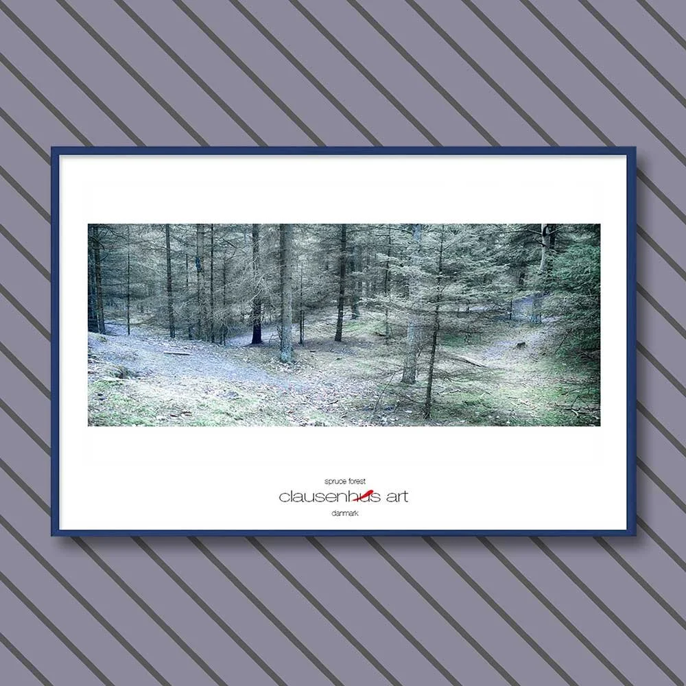 spruce-forest-copy.jpg