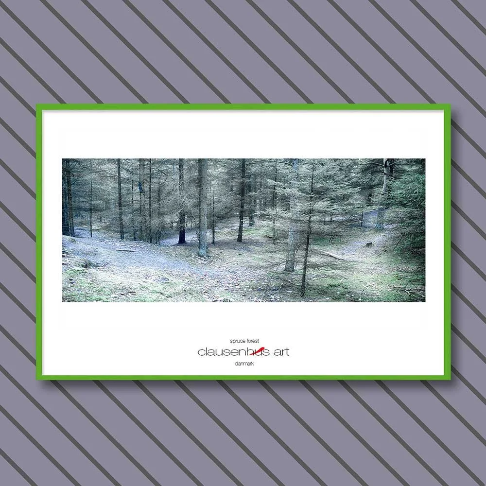 spruce-forest-copy.jpg
