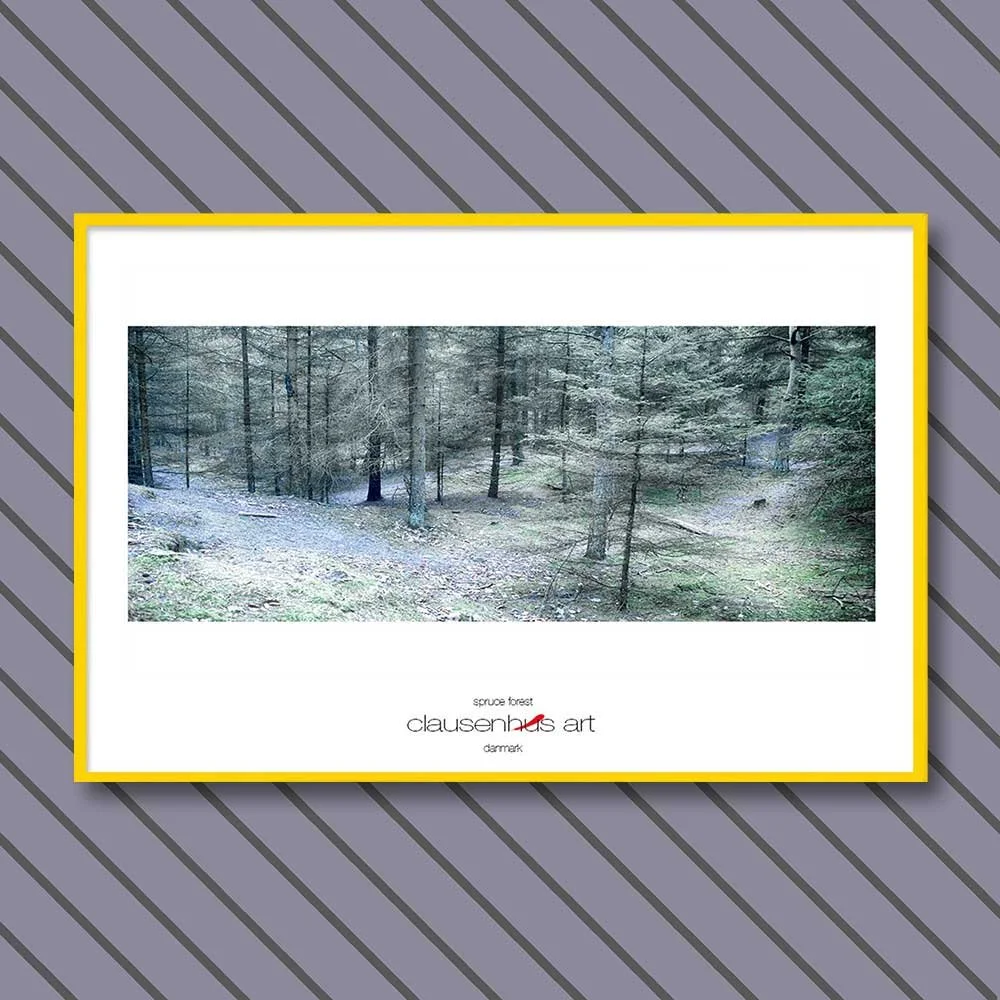 spruce-forest-copy.jpg