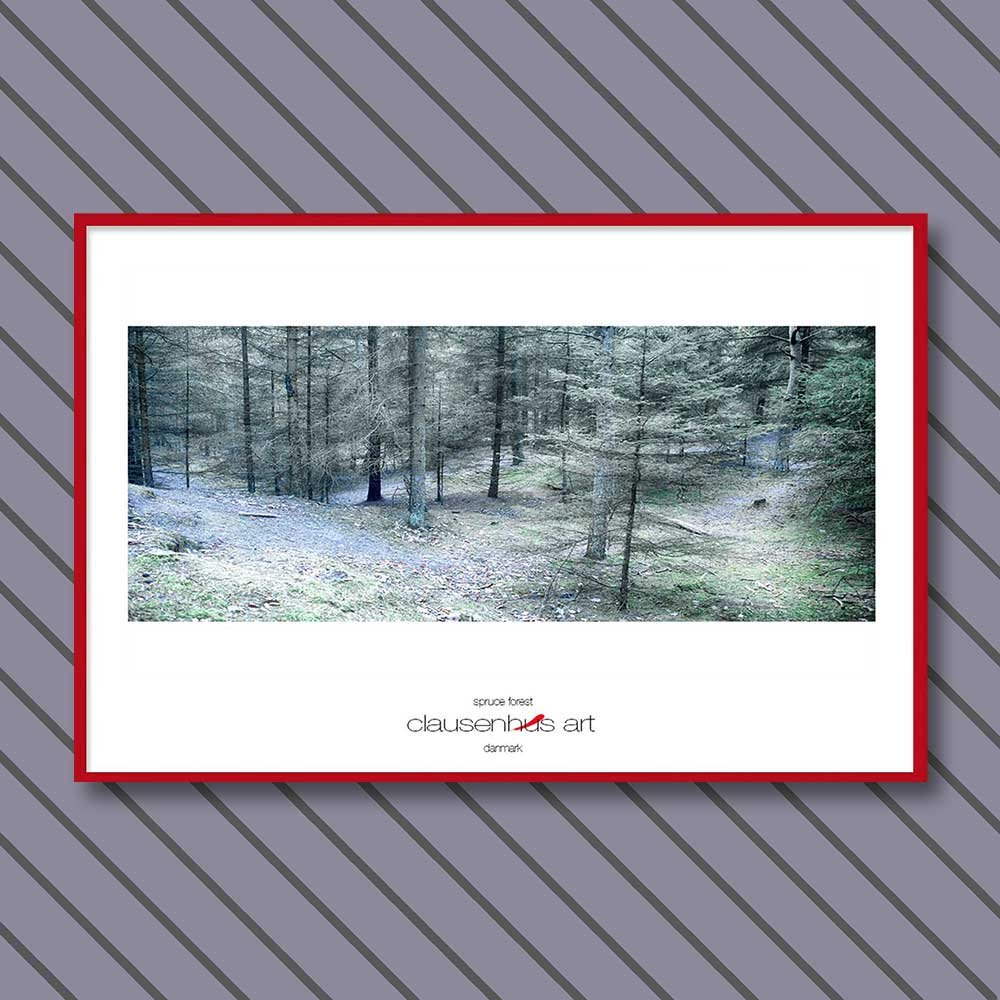 spruce-forest-copy.jpg