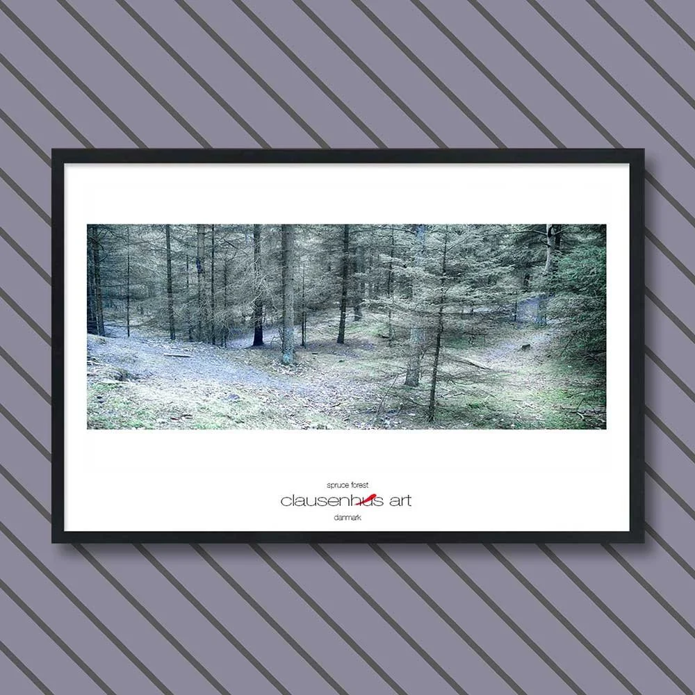 spruce-forest-copy.jpg