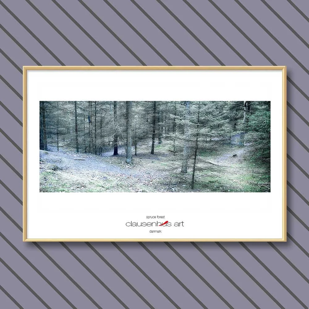 spruce-forest-copy.jpg