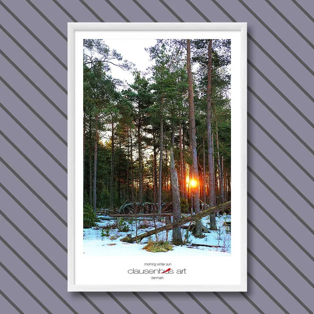 morning-winter-sun-copy.jpg