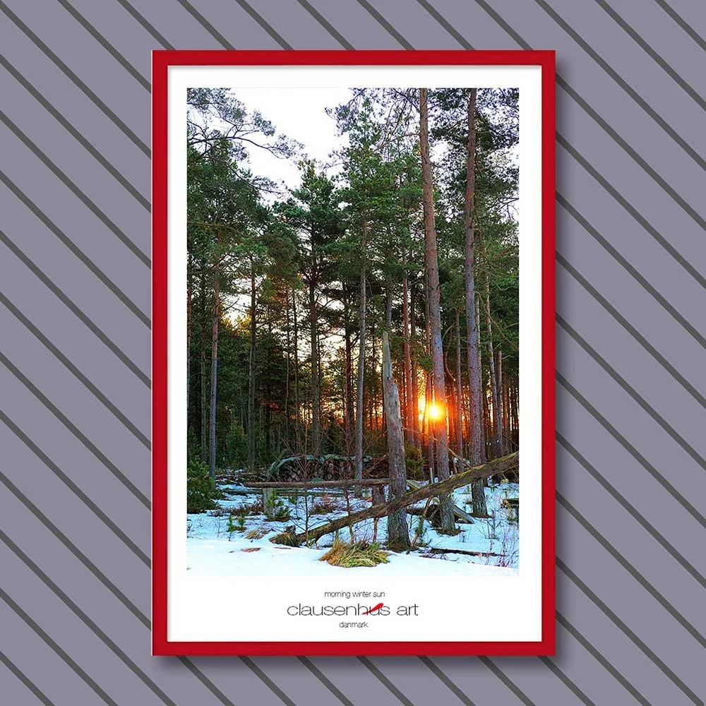morning-winter-sun-copy.jpg