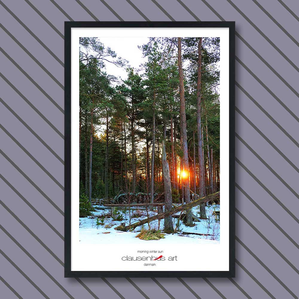 morning-winter-sun-copy.jpg