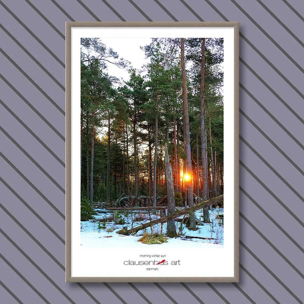 morning-winter-sun-copy.jpg