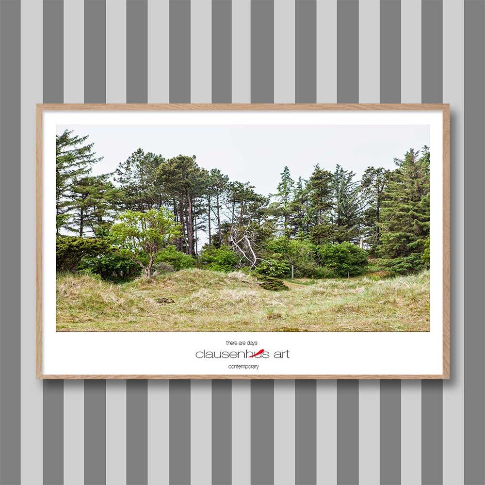 skallerup-indlandsklitter-2.jpg