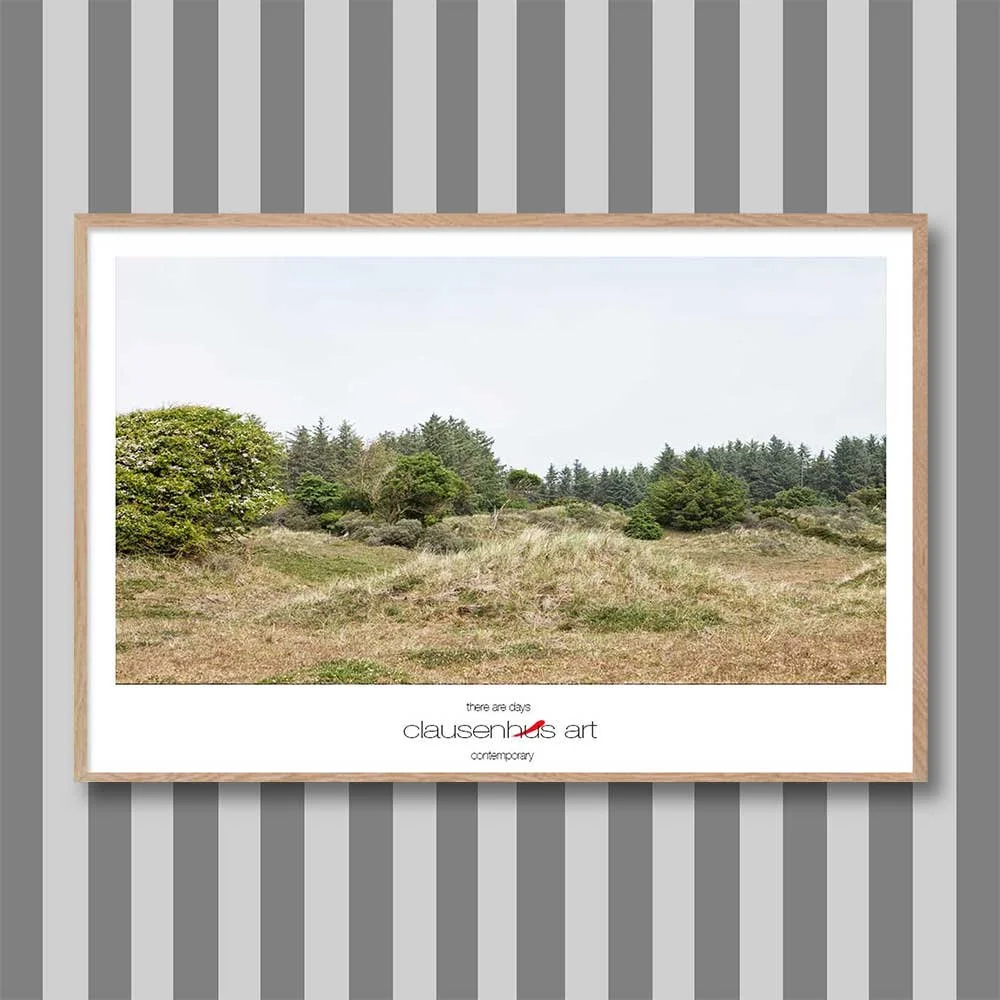 skallerup-indlandsklitter-3.jpg