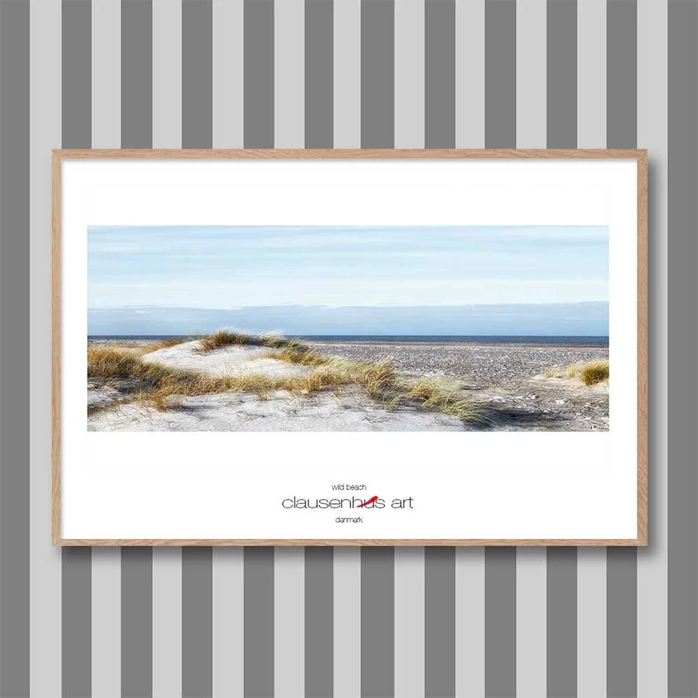 wild-beach-copy.jpg