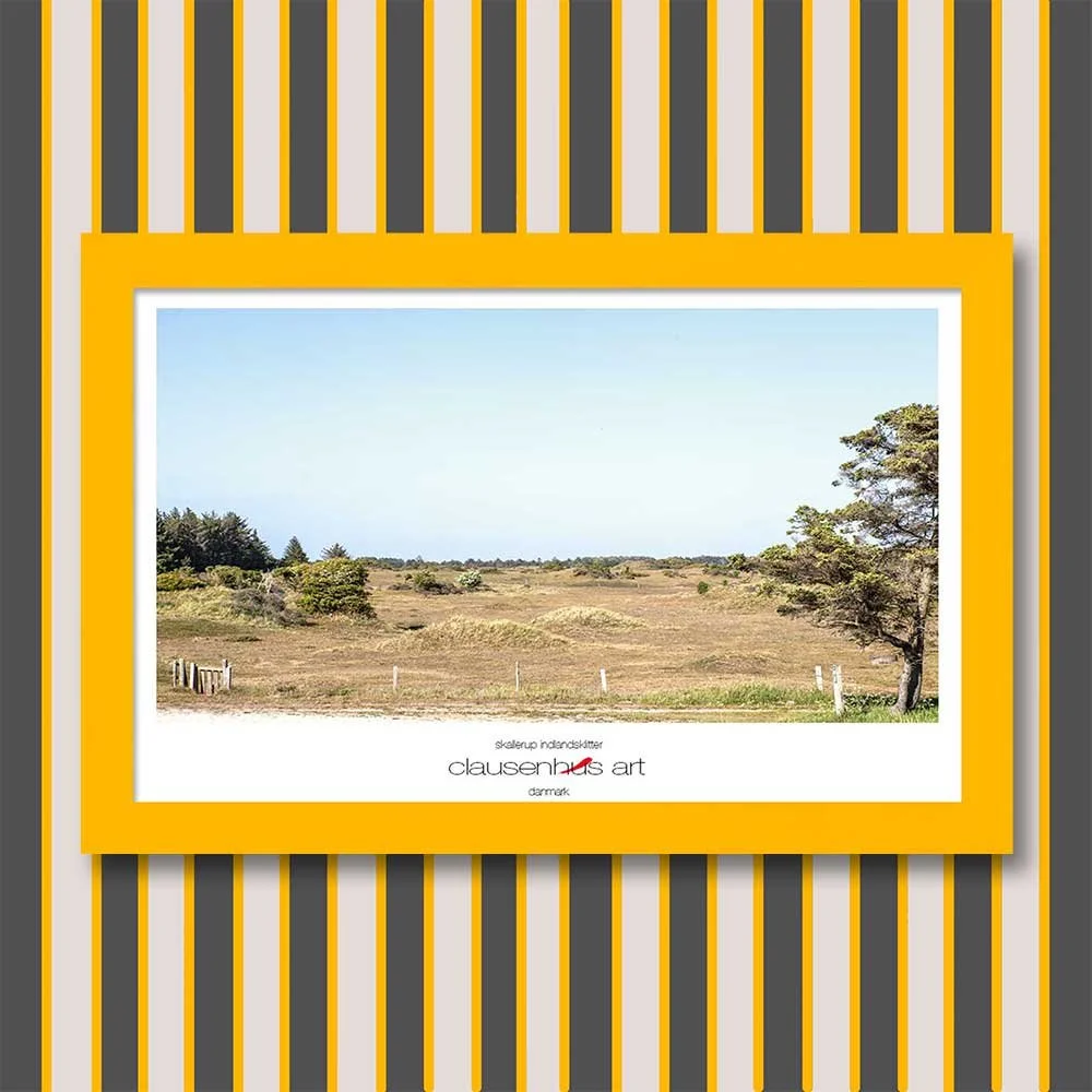 skallerup-indlandsklitter-copy.jpg