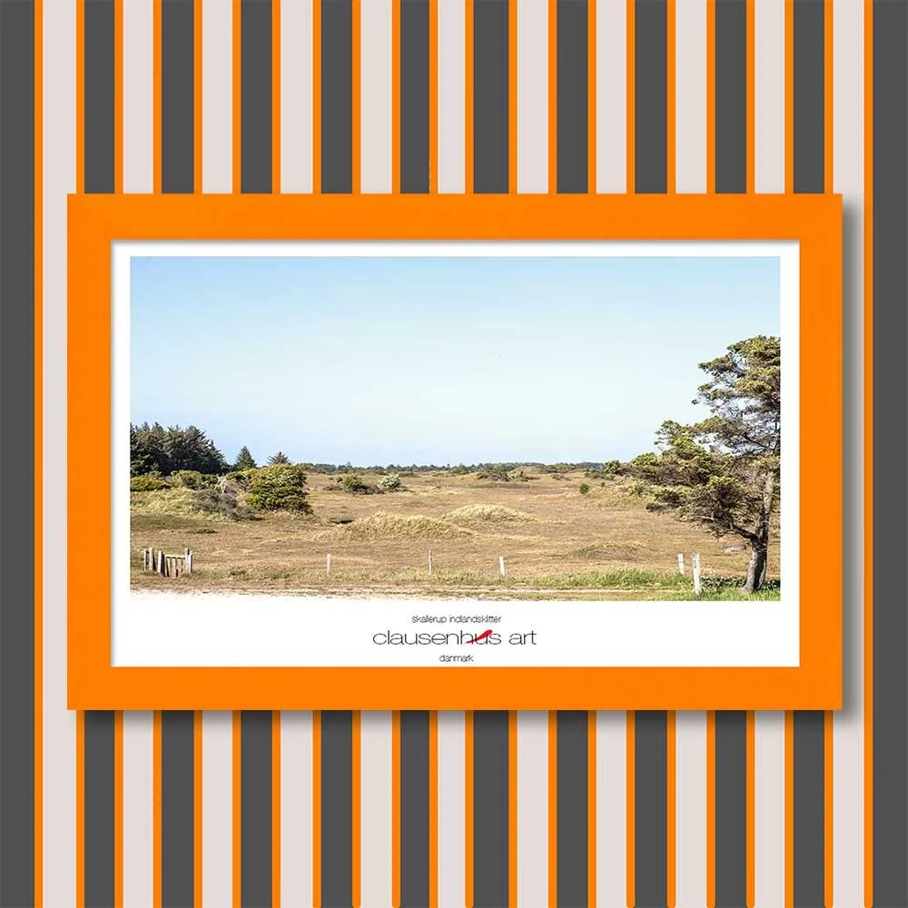 skallerup-indlandsklitter-copy.jpg