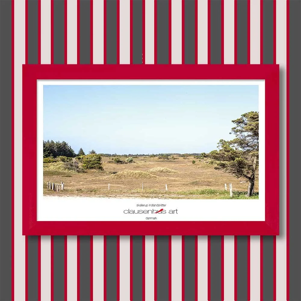 skallerup-indlandsklitter-copy.jpg