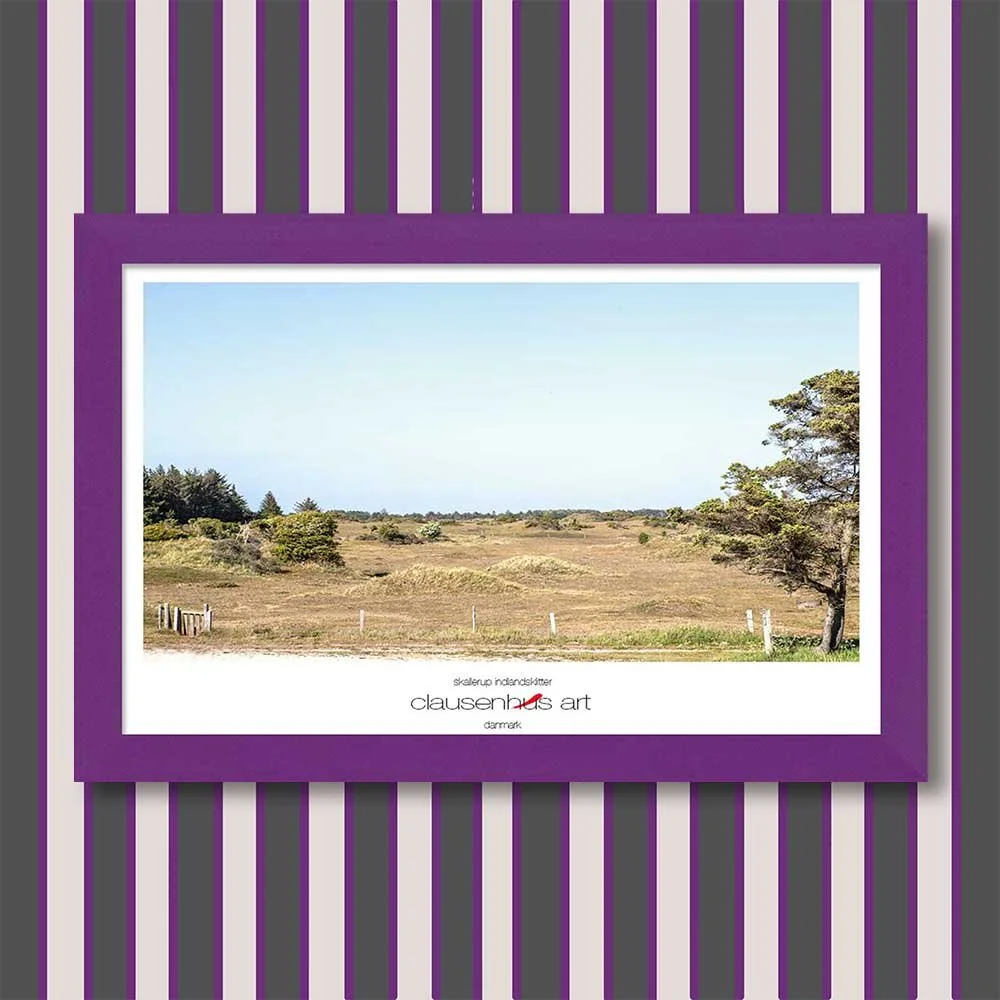 skallerup-indlandsklitter-copy.jpg