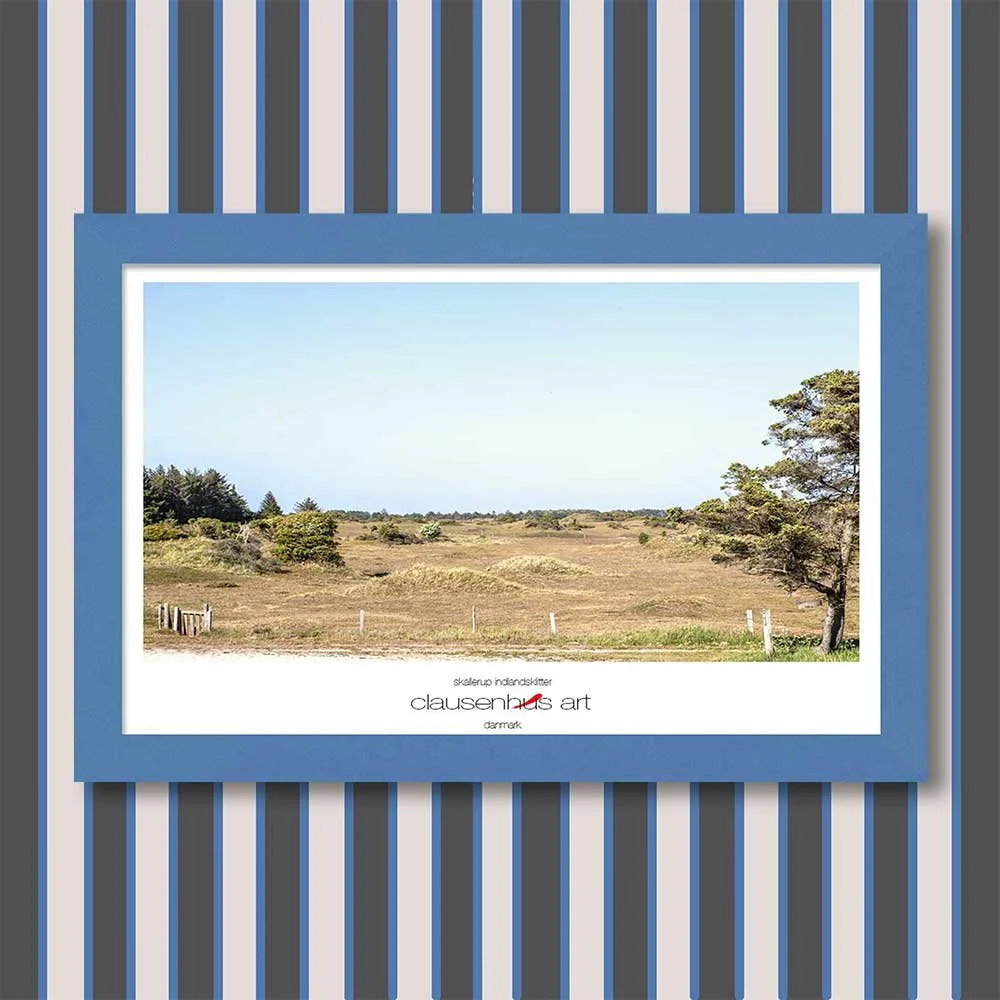 skallerup-indlandsklitter-copy.jpg