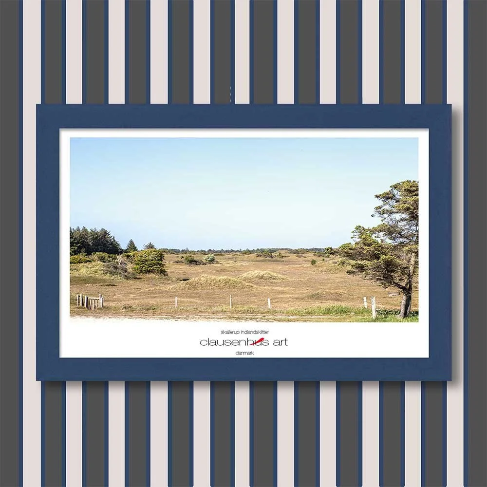 skallerup-indlandsklitter-copy.jpg