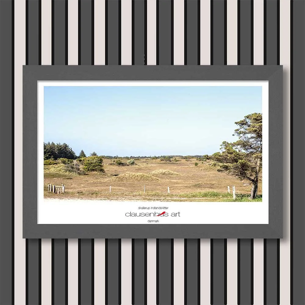 skallerup-indlandsklitter-copy.jpg