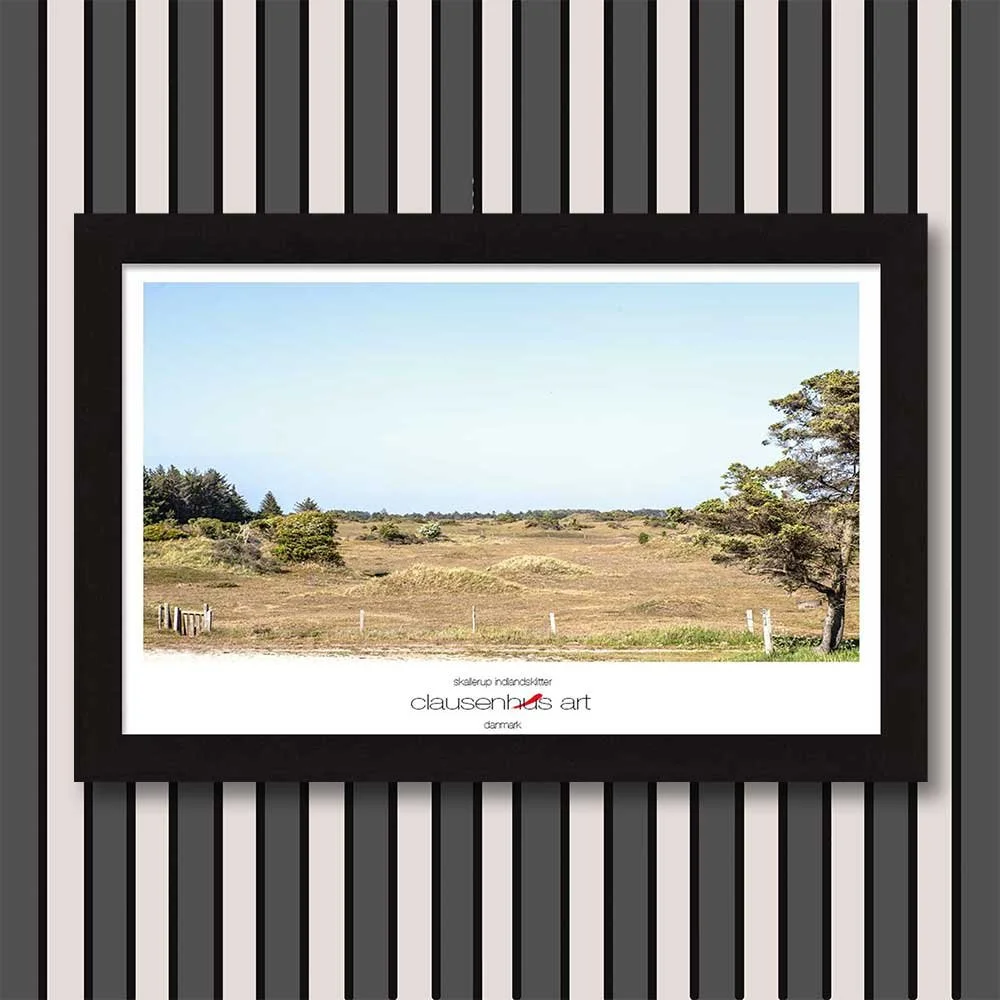 skallerup-indlandsklitter-copy.jpg