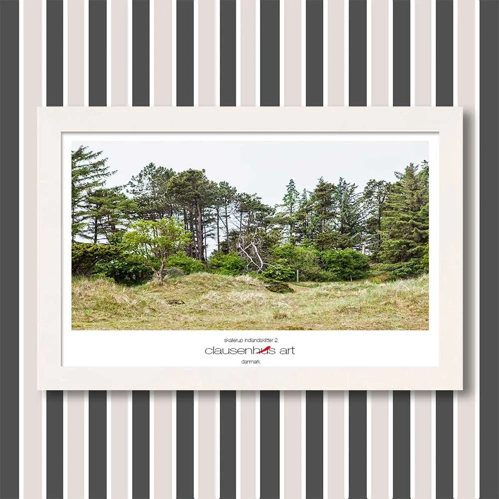 skallerup-indlandsklitter-2-copy.jpg