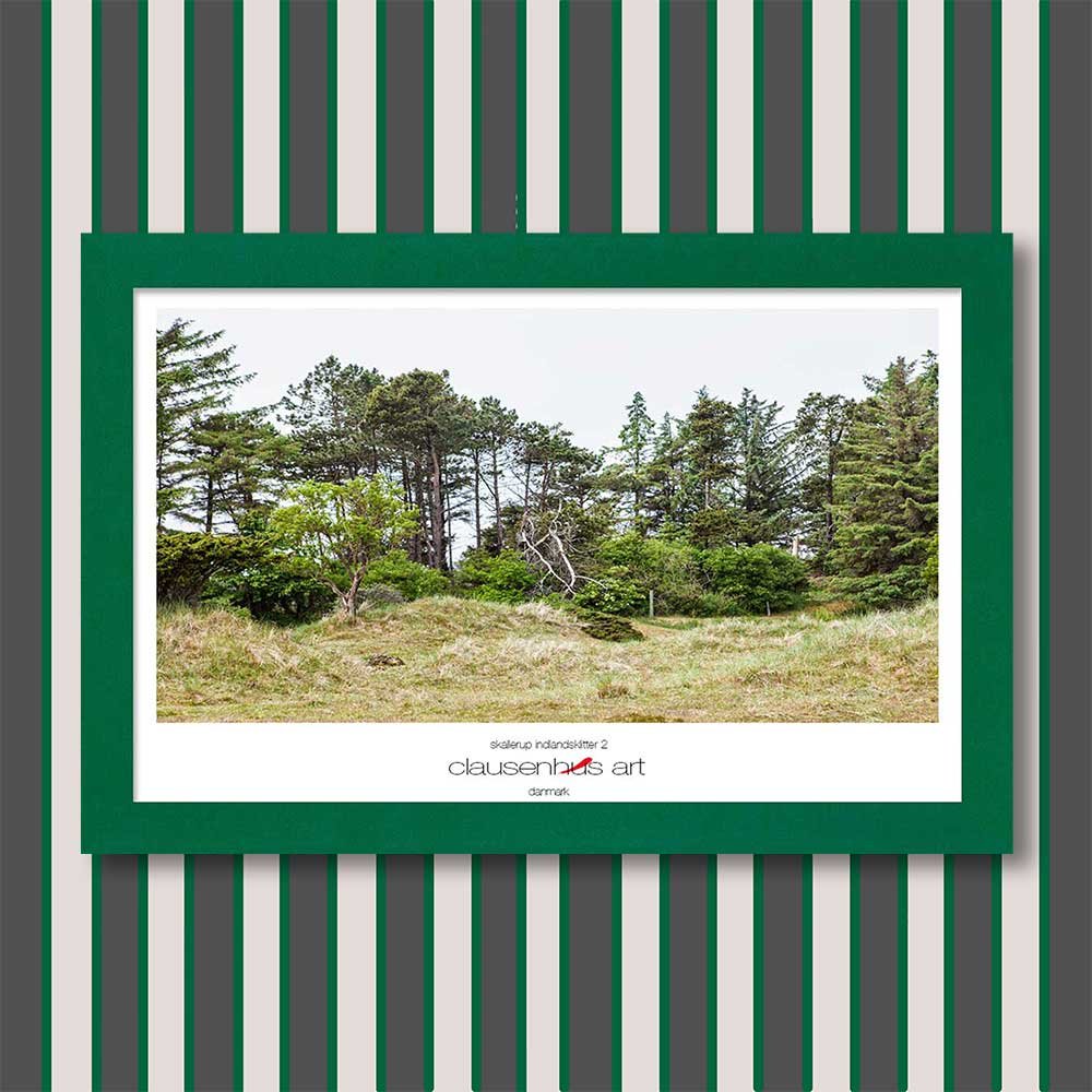 skallerup-indlandsklitter-2-copy.jpg
