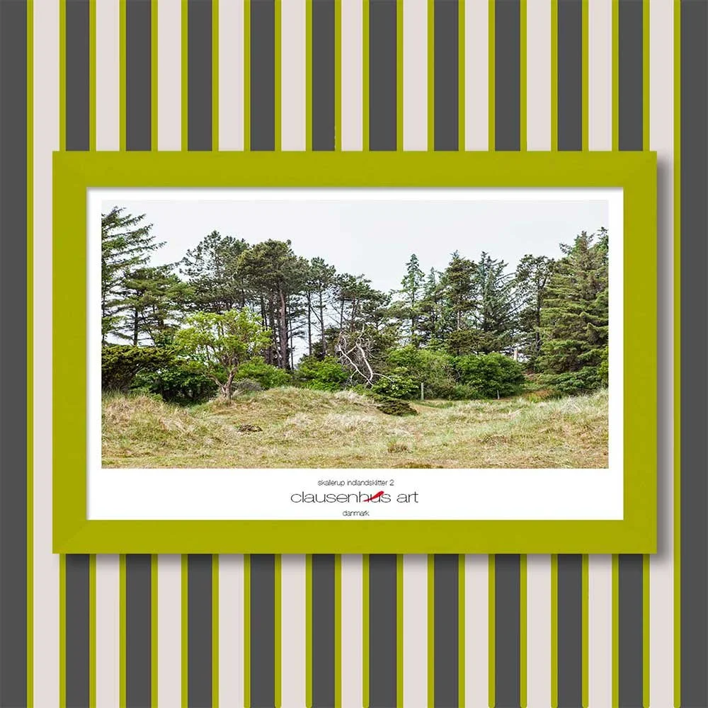 skallerup-indlandsklitter-2-copy.jpg