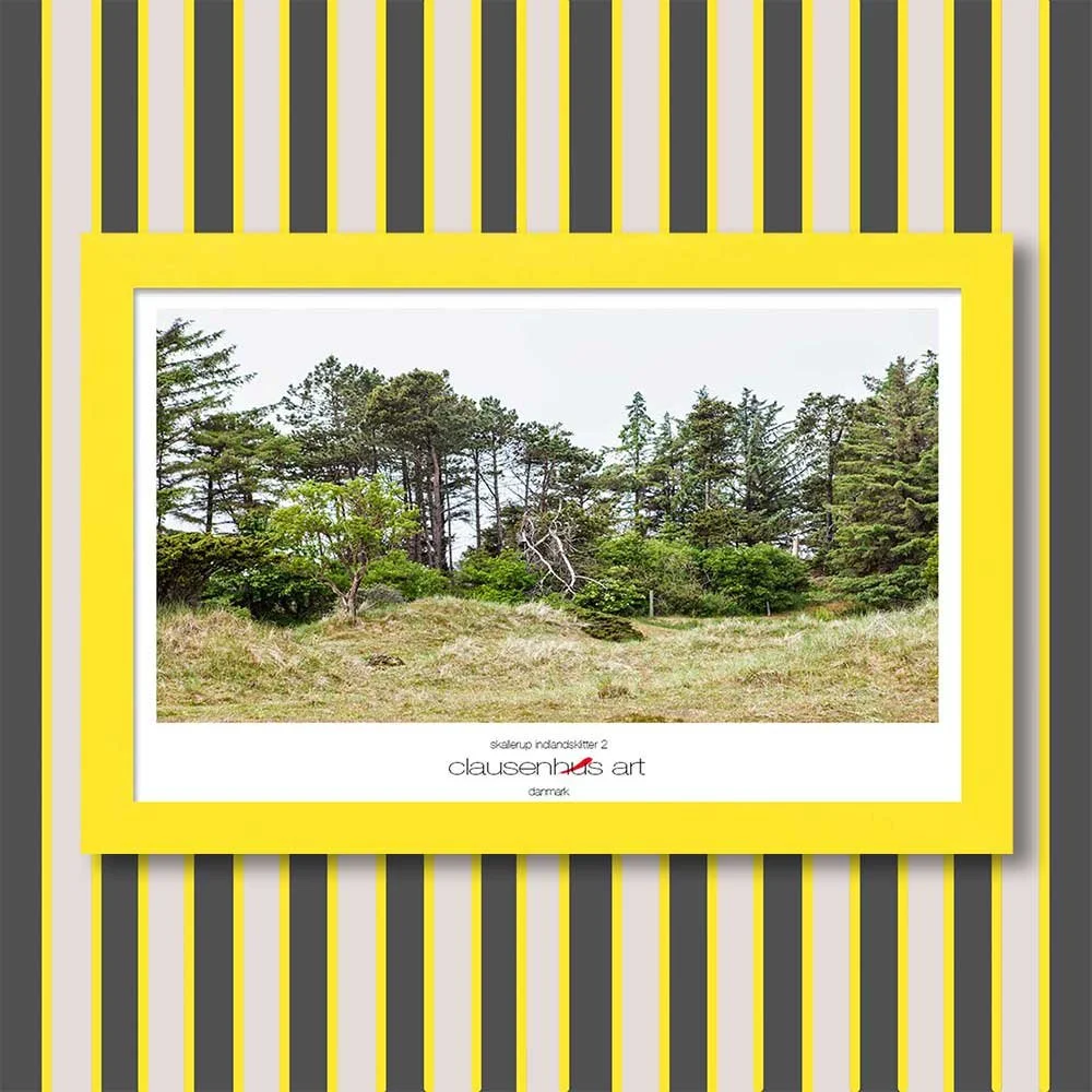 skallerup-indlandsklitter-2-copy.jpg