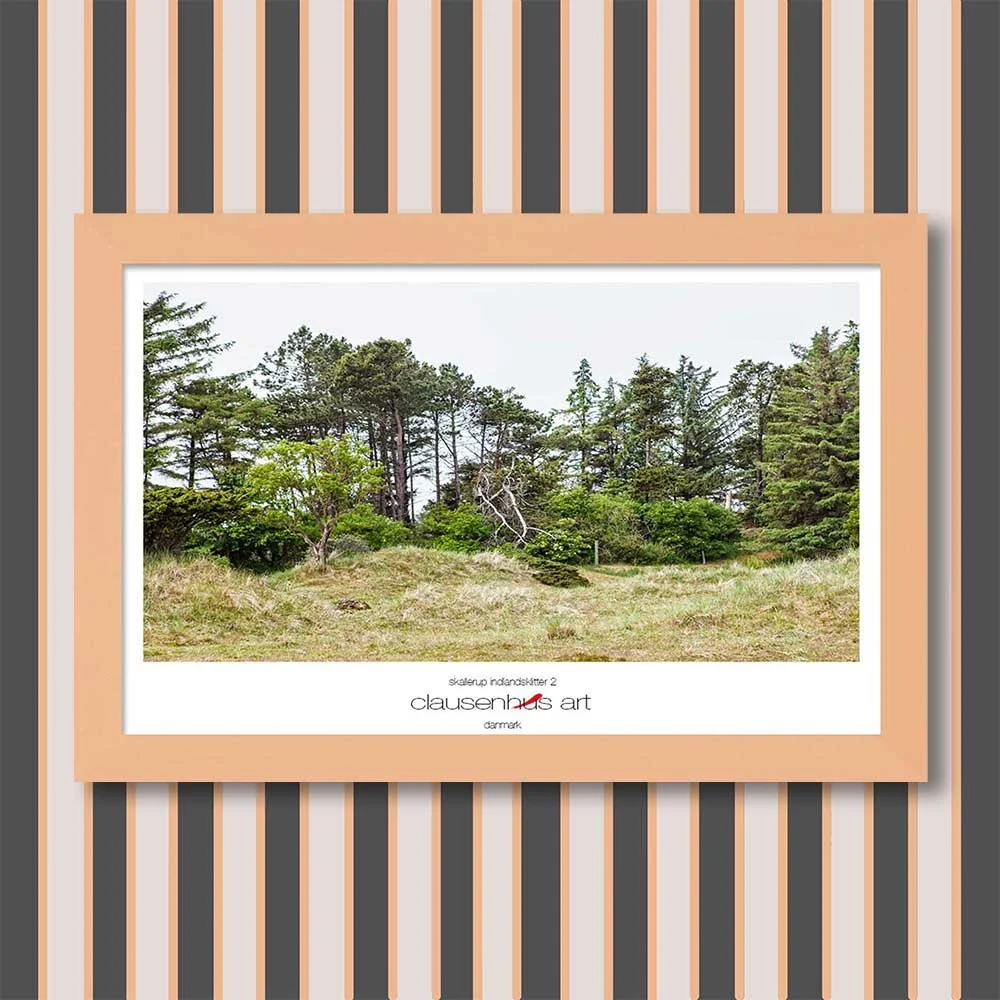 skallerup-indlandsklitter-2-copy.jpg