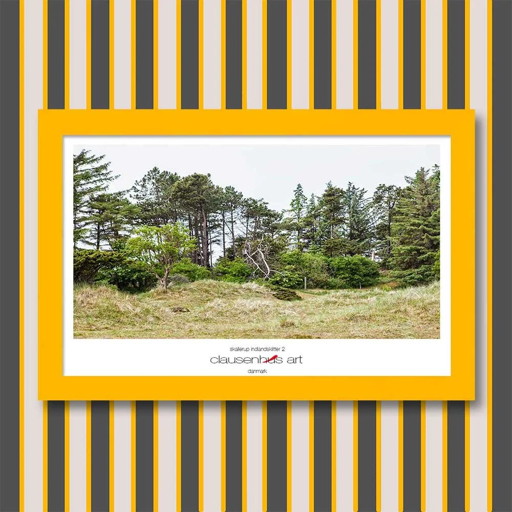 skallerup-indlandsklitter-2-copy.jpg