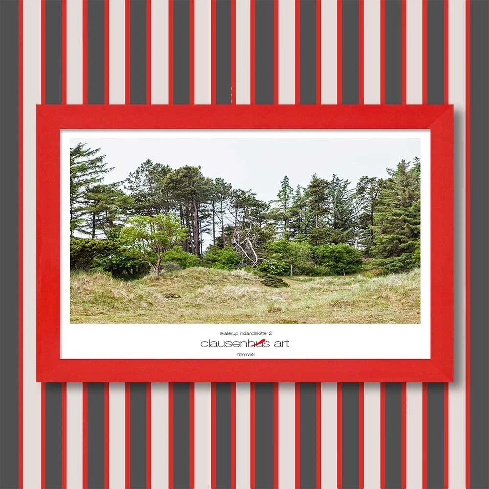 skallerup-indlandsklitter-2-copy.jpg