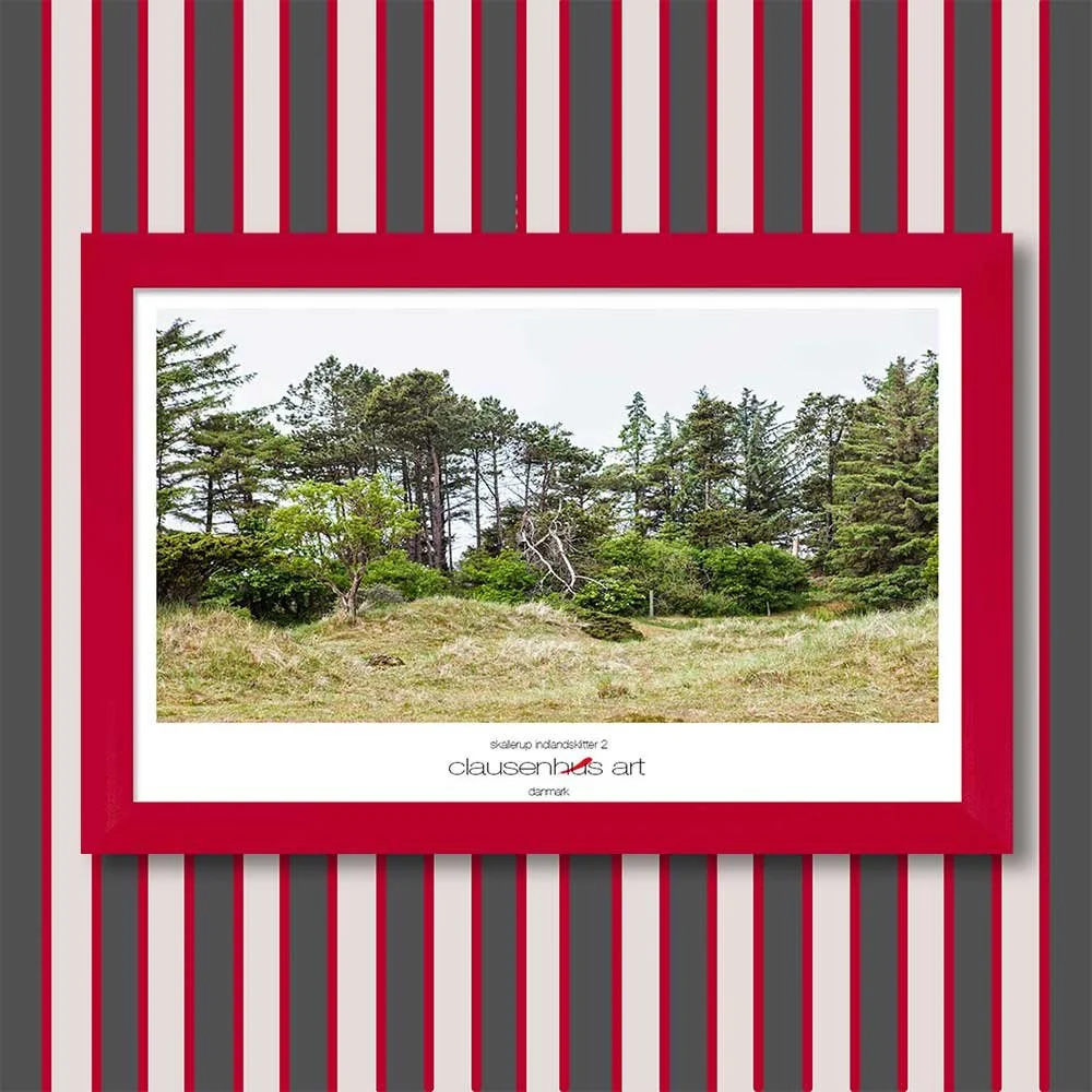 skallerup-indlandsklitter-2-copy.jpg