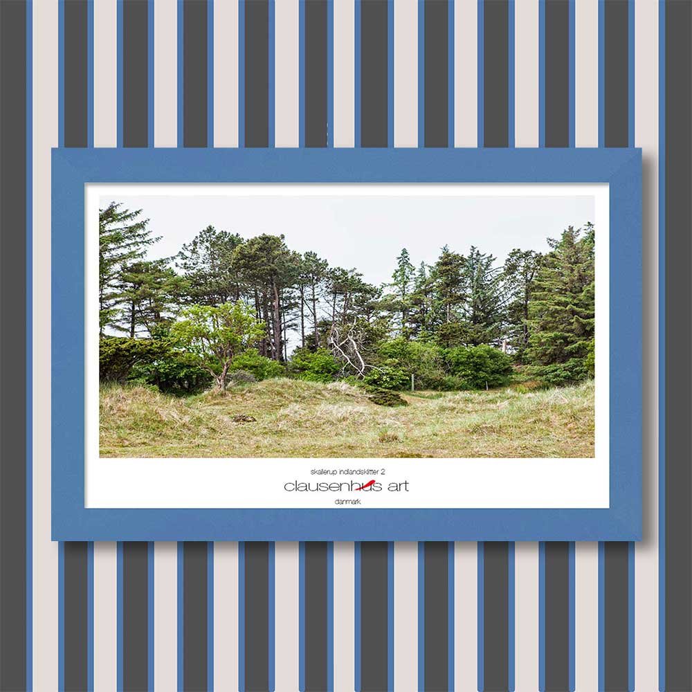 skallerup-indlandsklitter-2-copy.jpg