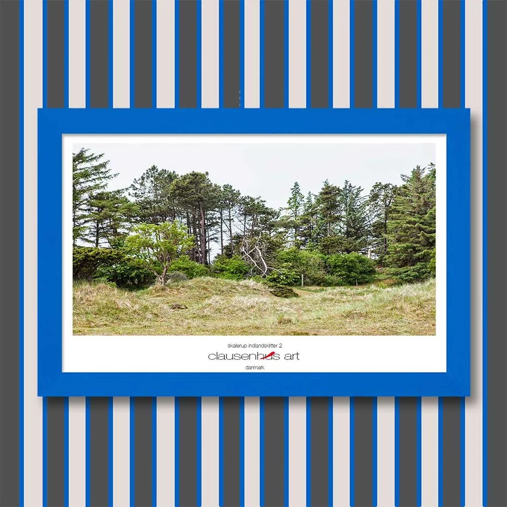 skallerup-indlandsklitter-2.jpg
