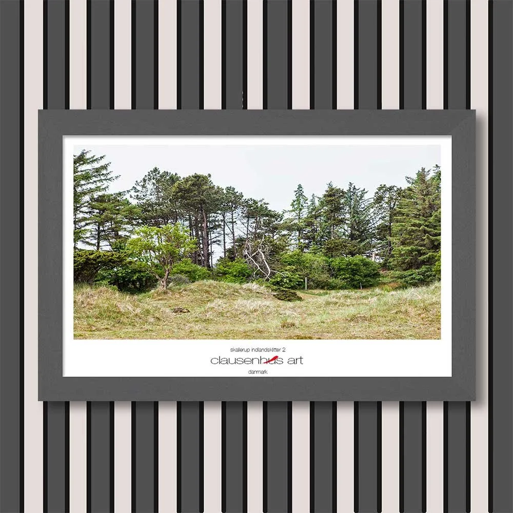 skallerup-indlandsklitter-2-copy.jpg