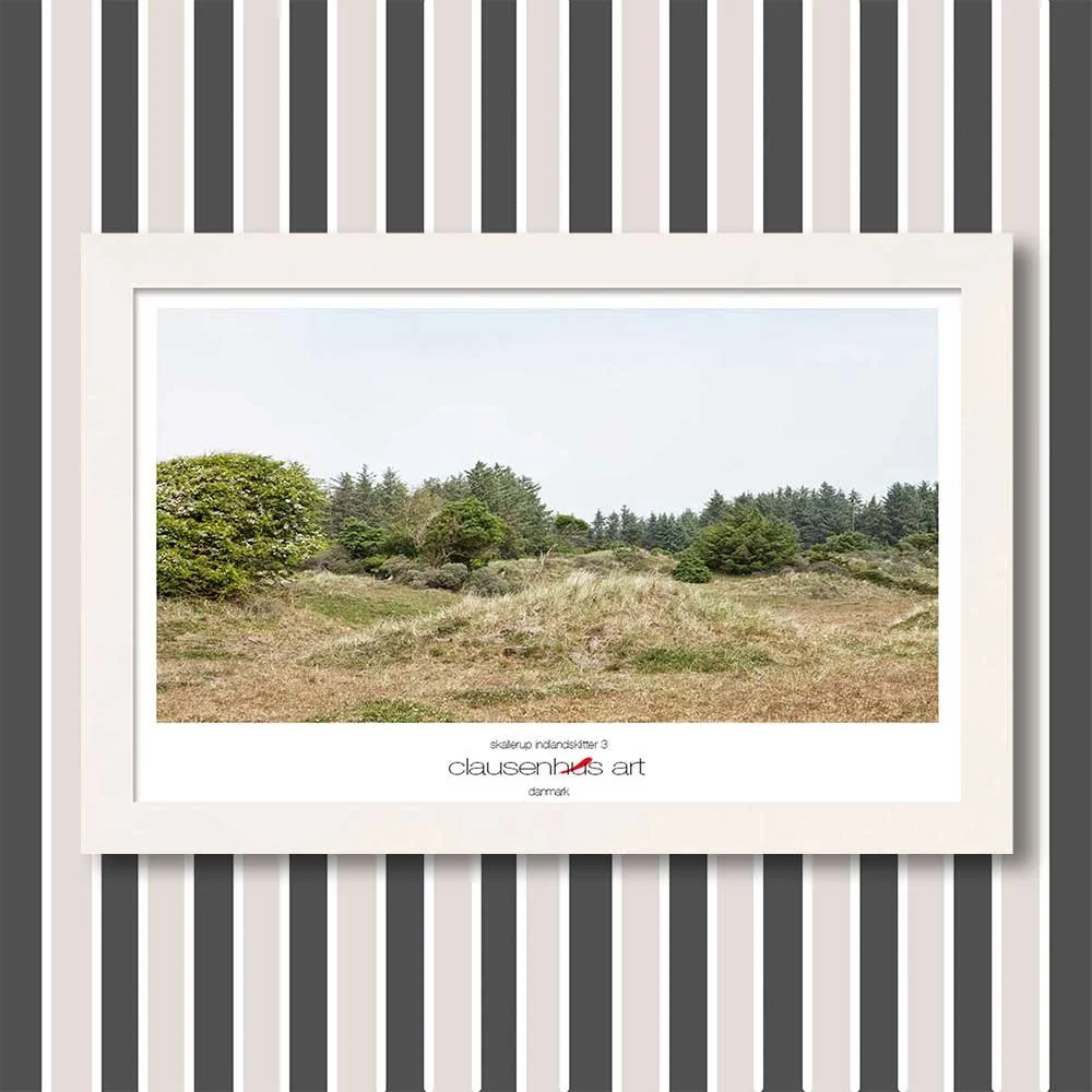 skallerup-indlandsklitter-3-copy.jpg