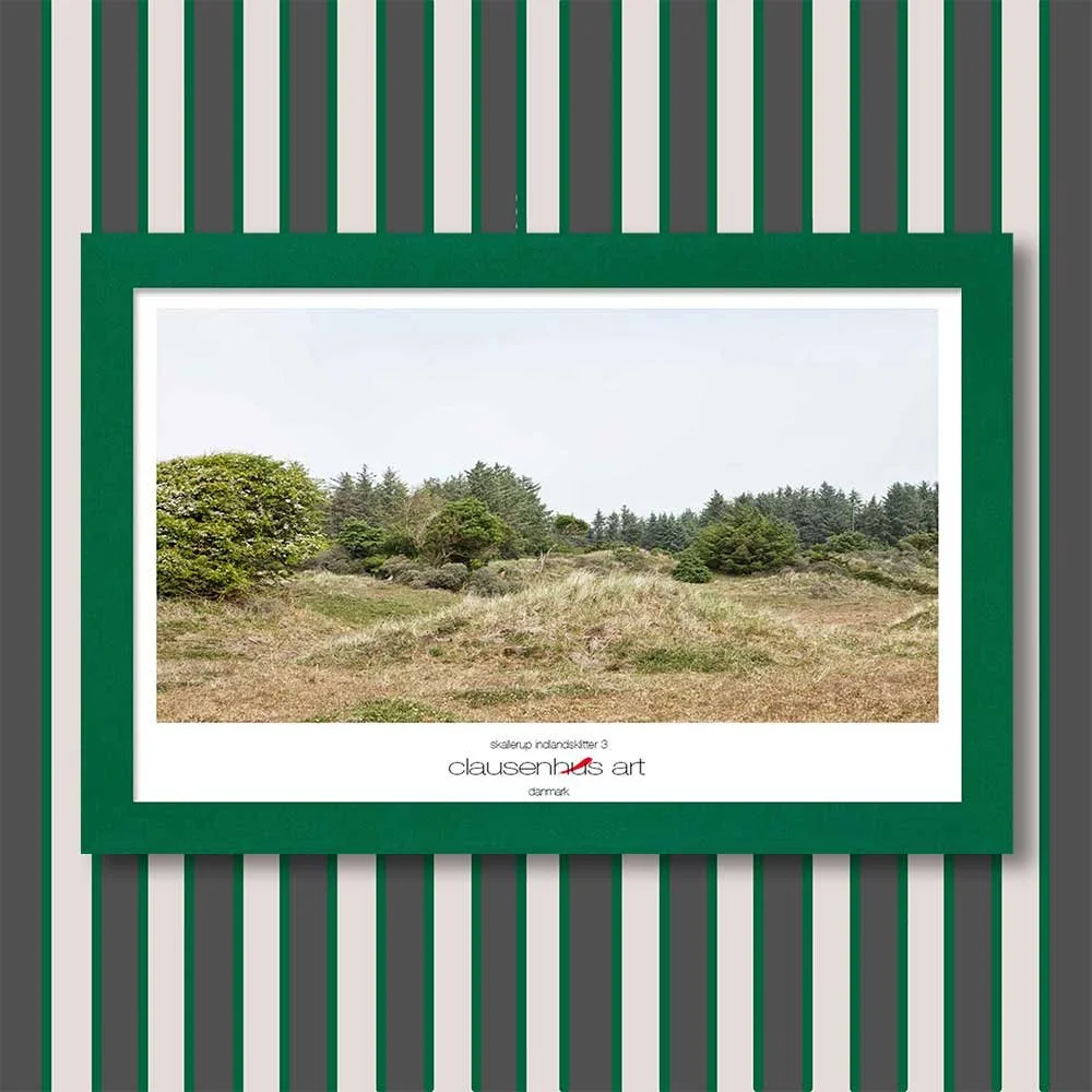 skallerup-indlandsklitter-3-copy.jpg