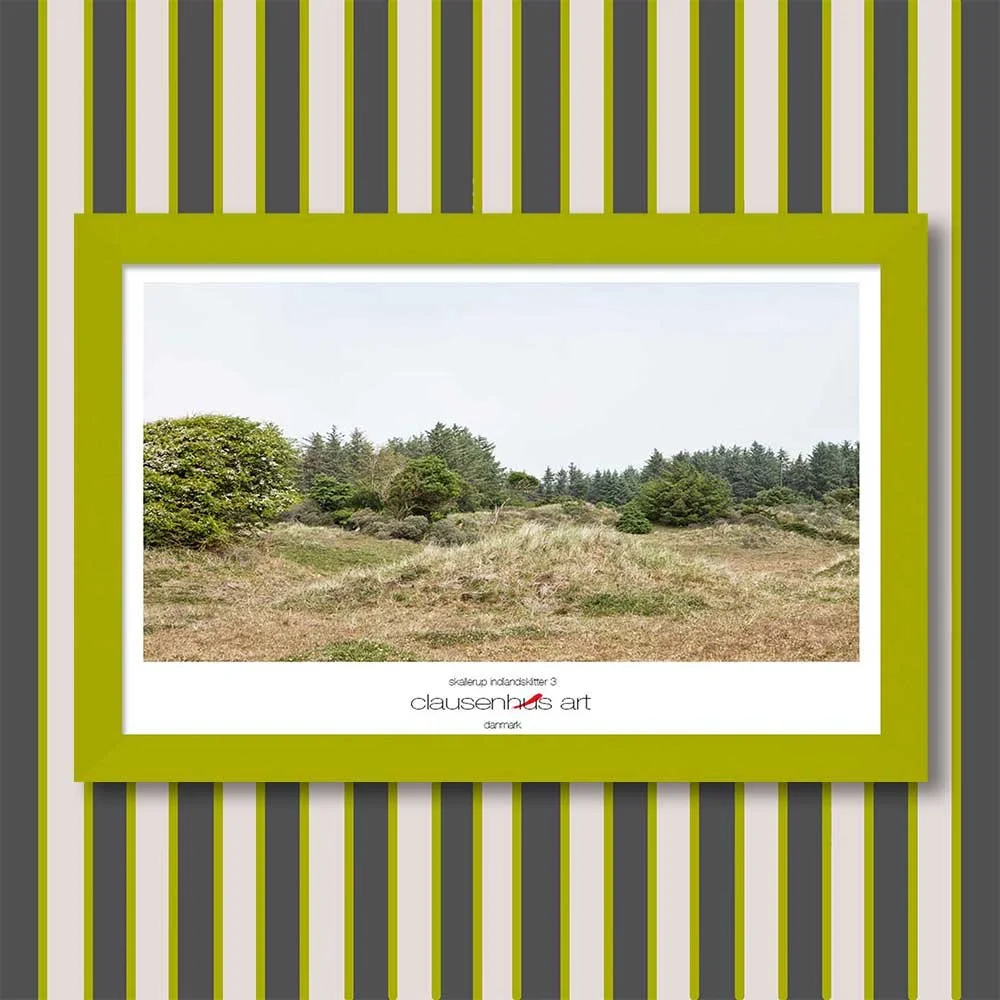 skallerup-indlandsklitter-3-copy.jpg