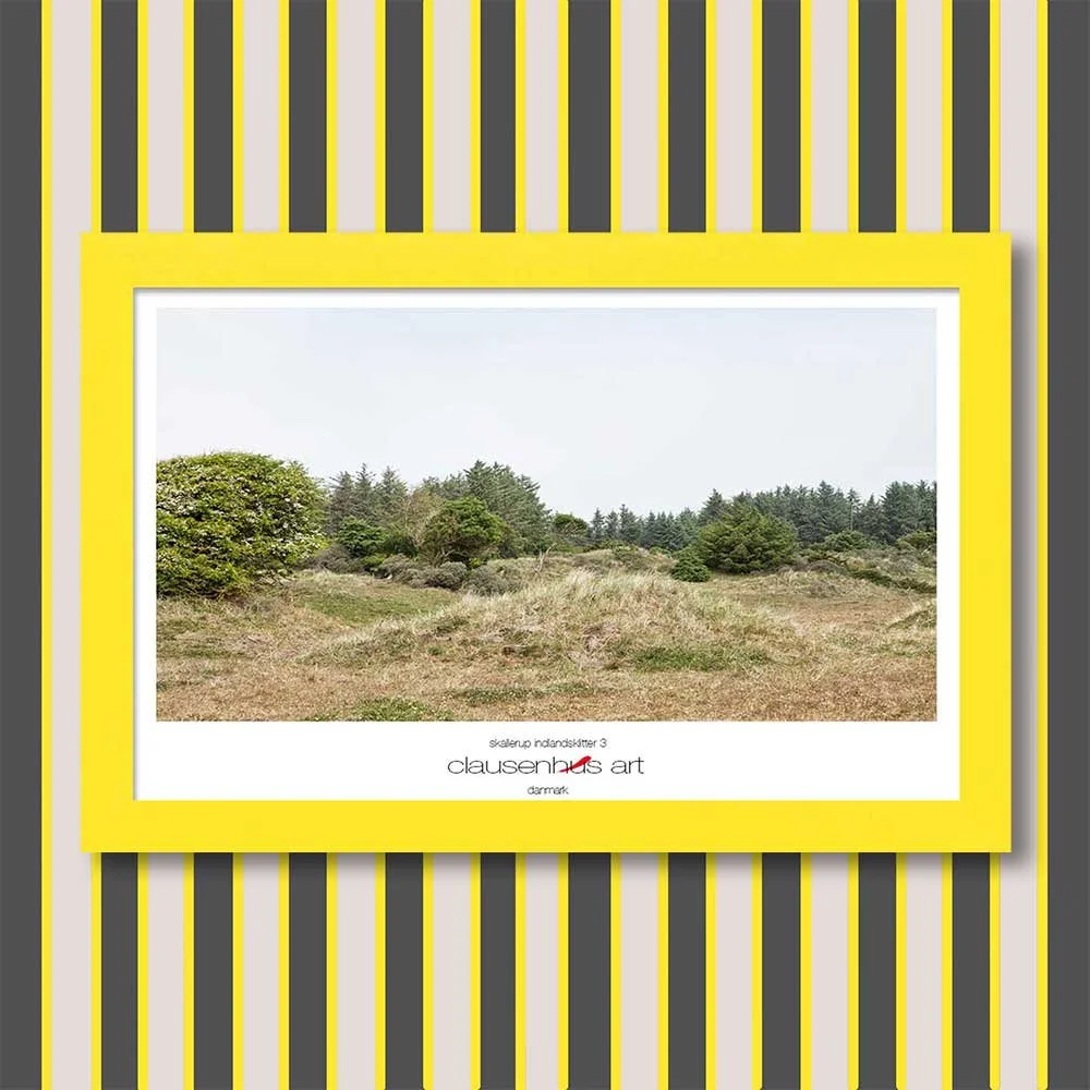 skallerup-indlandsklitter-3-copy.jpg
