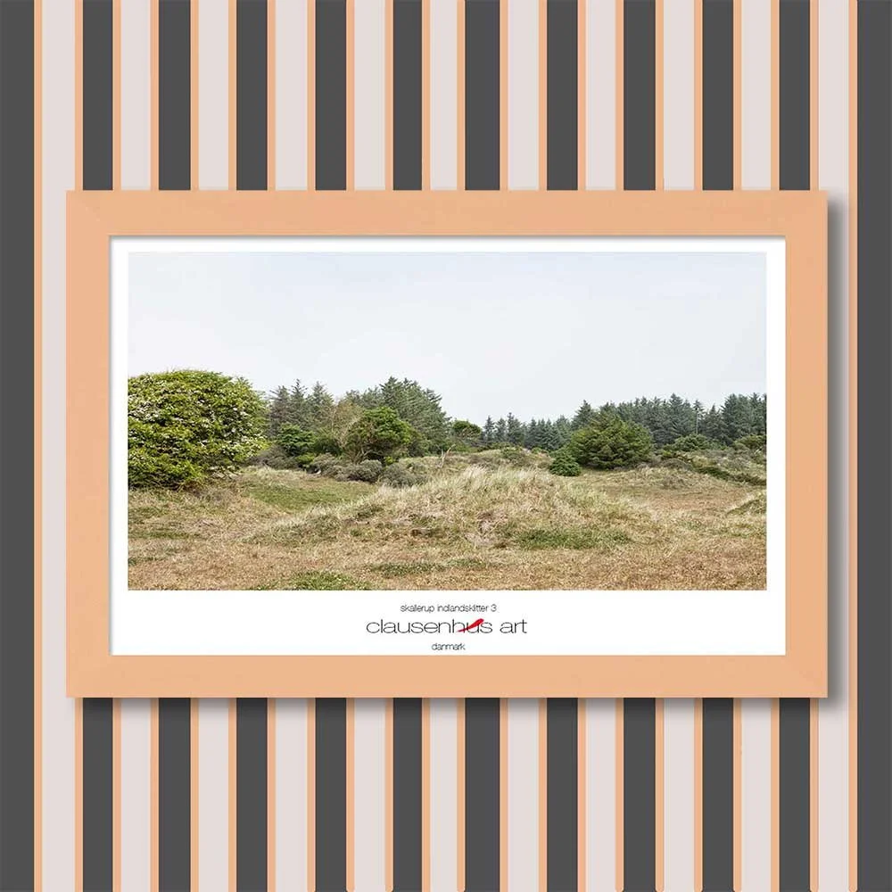 skallerup-indlandsklitter-3-copy.jpg