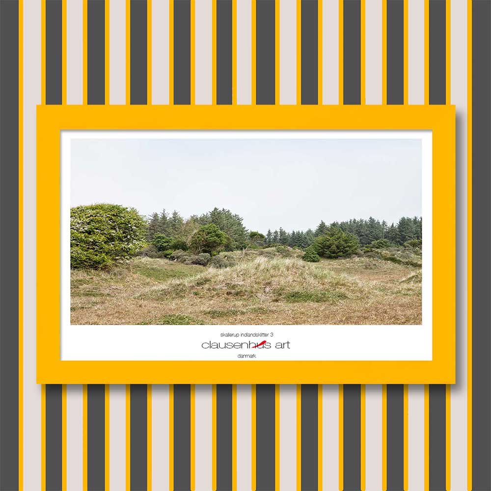 skallerup-indlandsklitter-3-copy.jpg