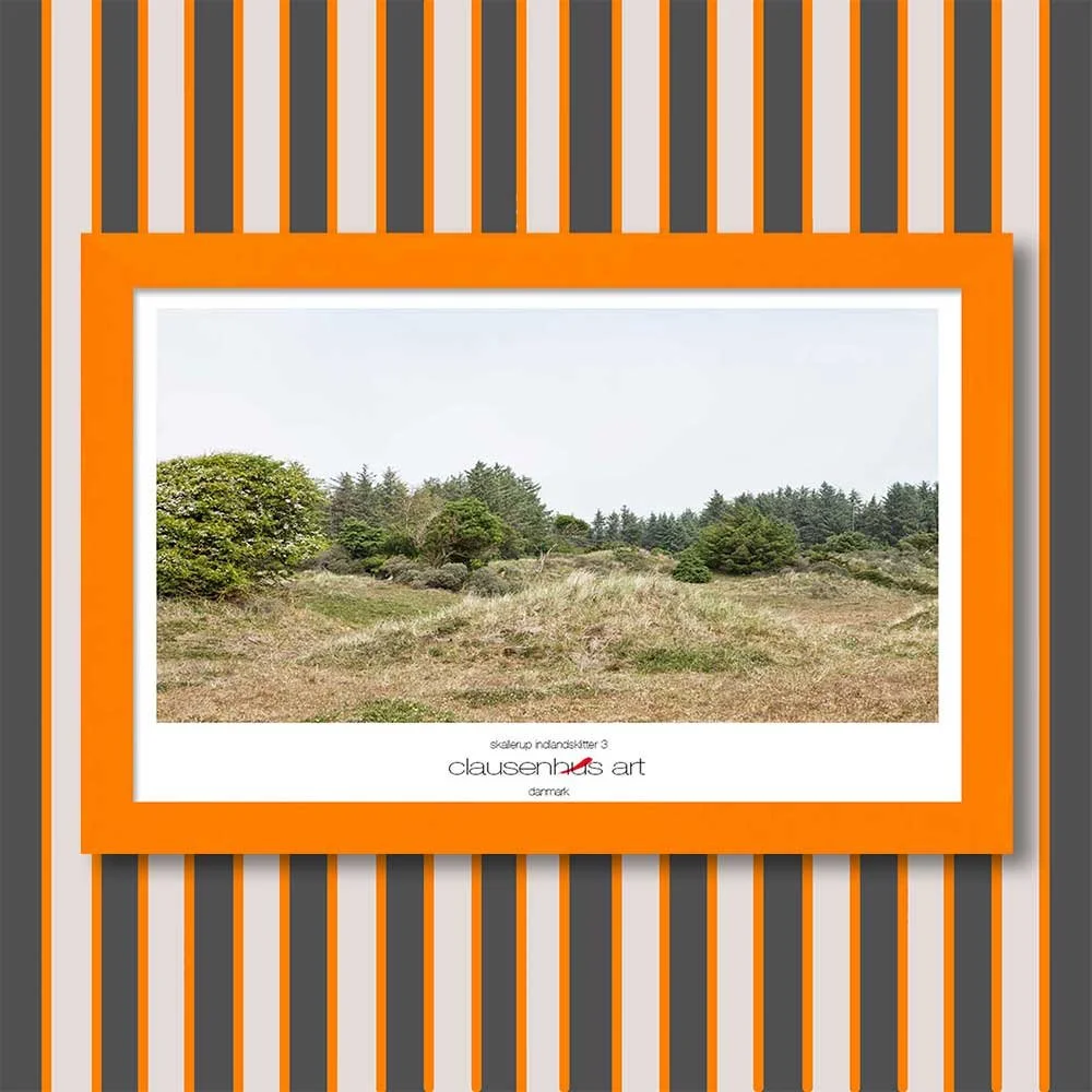 skallerup-indlandsklitter-3-copy.jpg