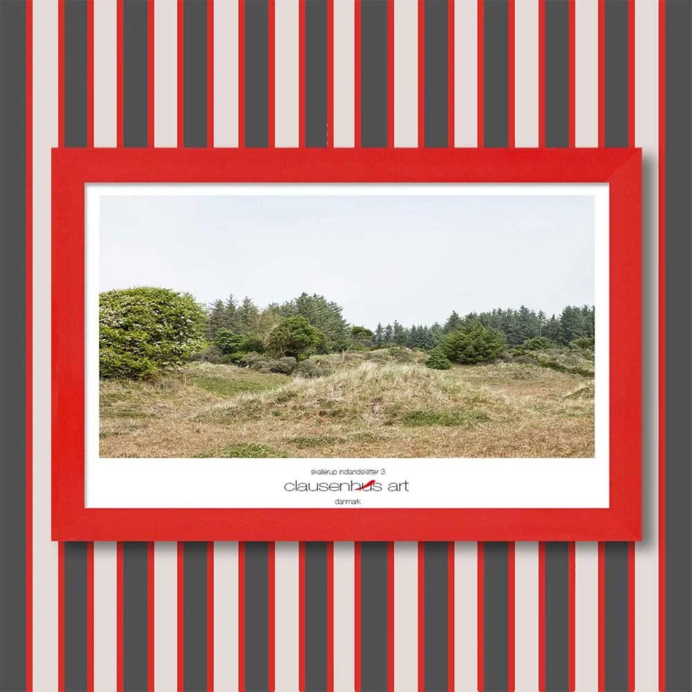 skallerup-indlandsklitter-3-copy.jpg