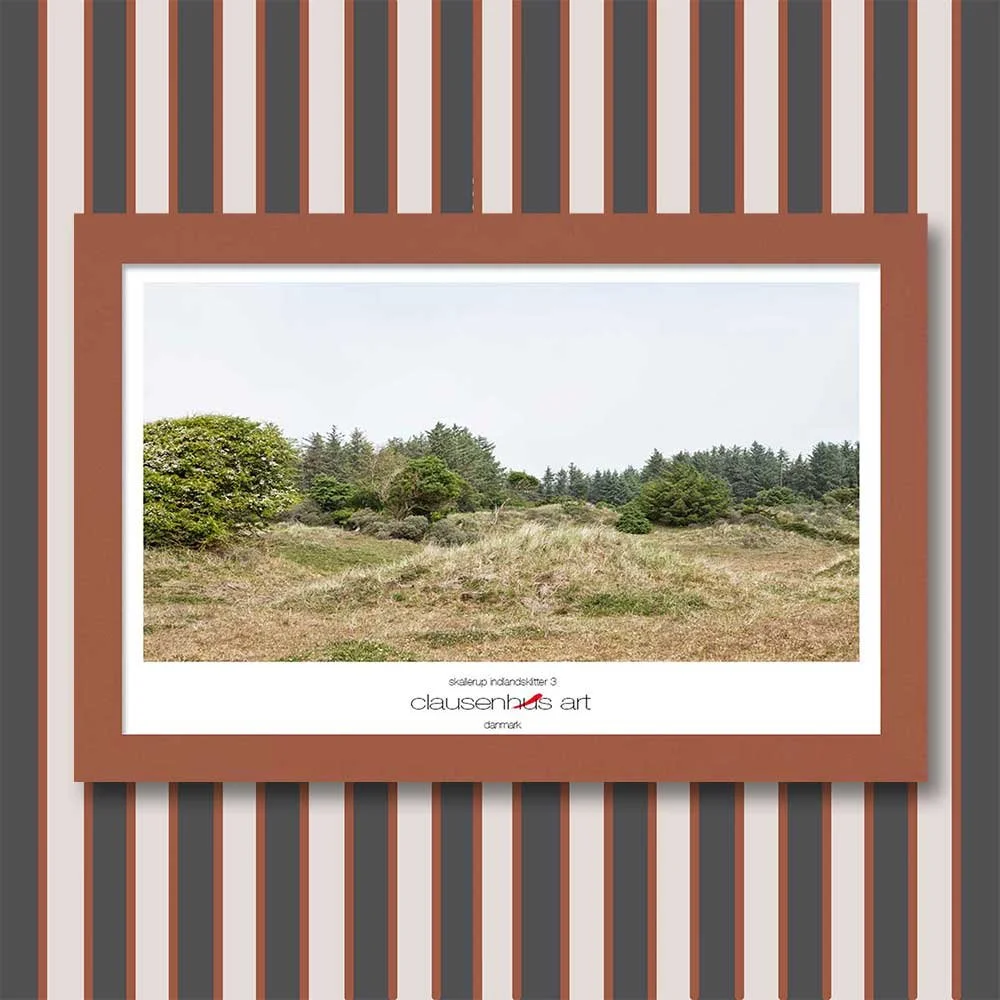 skallerup-indlandsklitter-3-copy.jpg