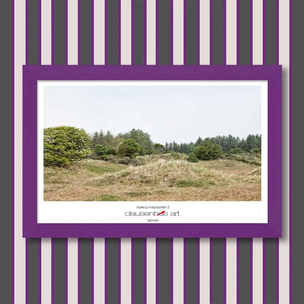 skallerup-indlandsklitter-3-copy.jpg