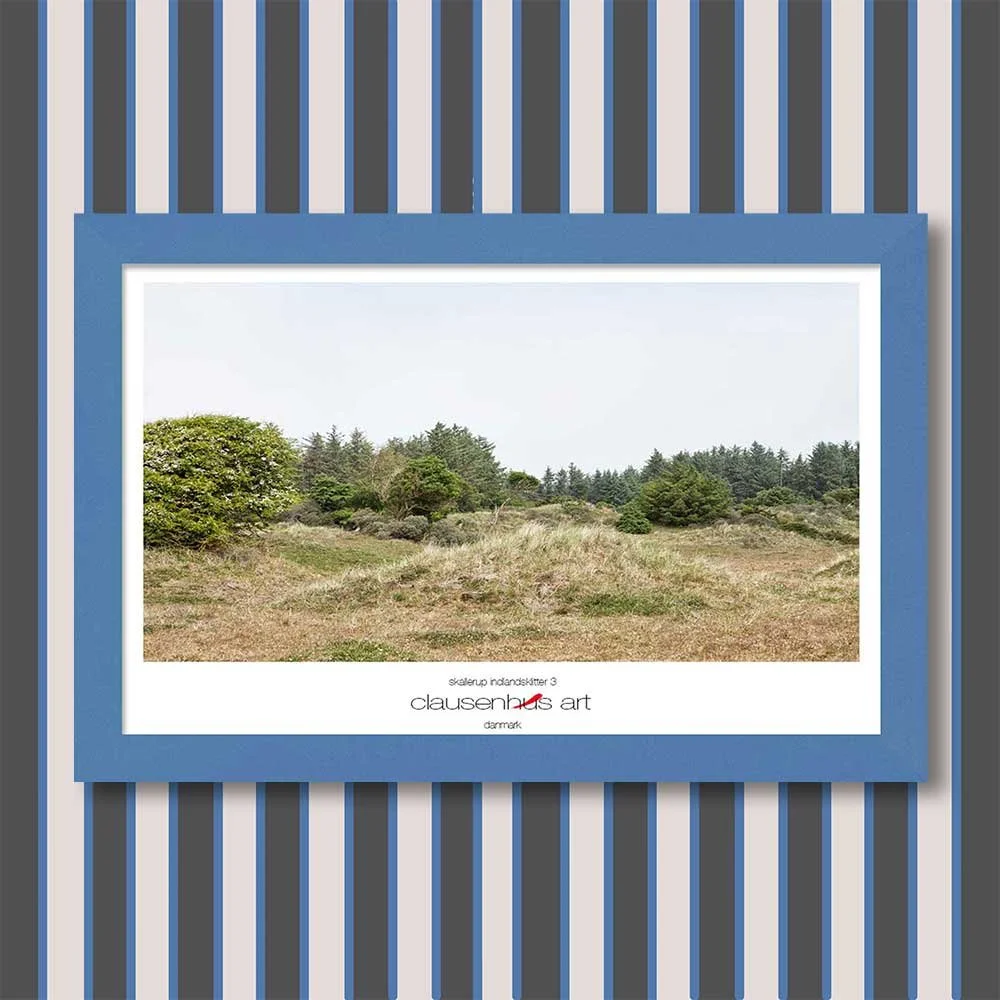 skallerup-indlandsklitter-3-copy.jpg