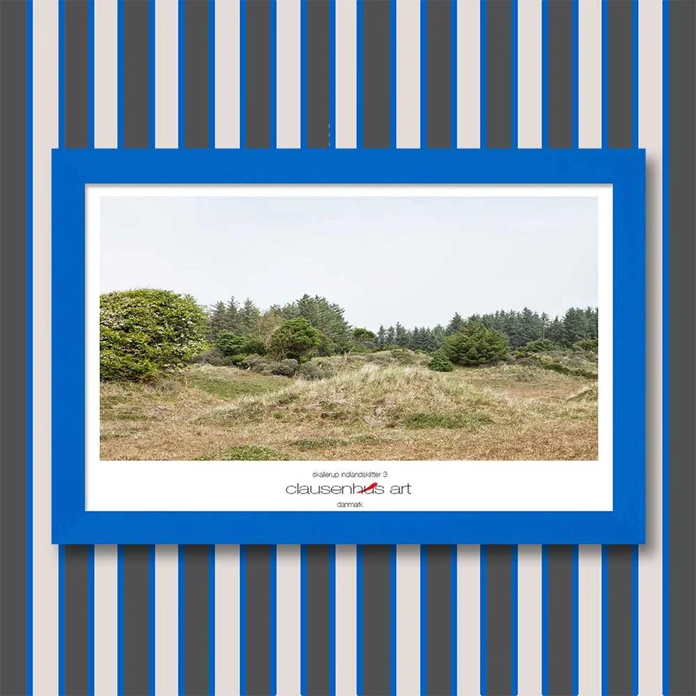 skallerup-indlandsklitter-3.jpg
