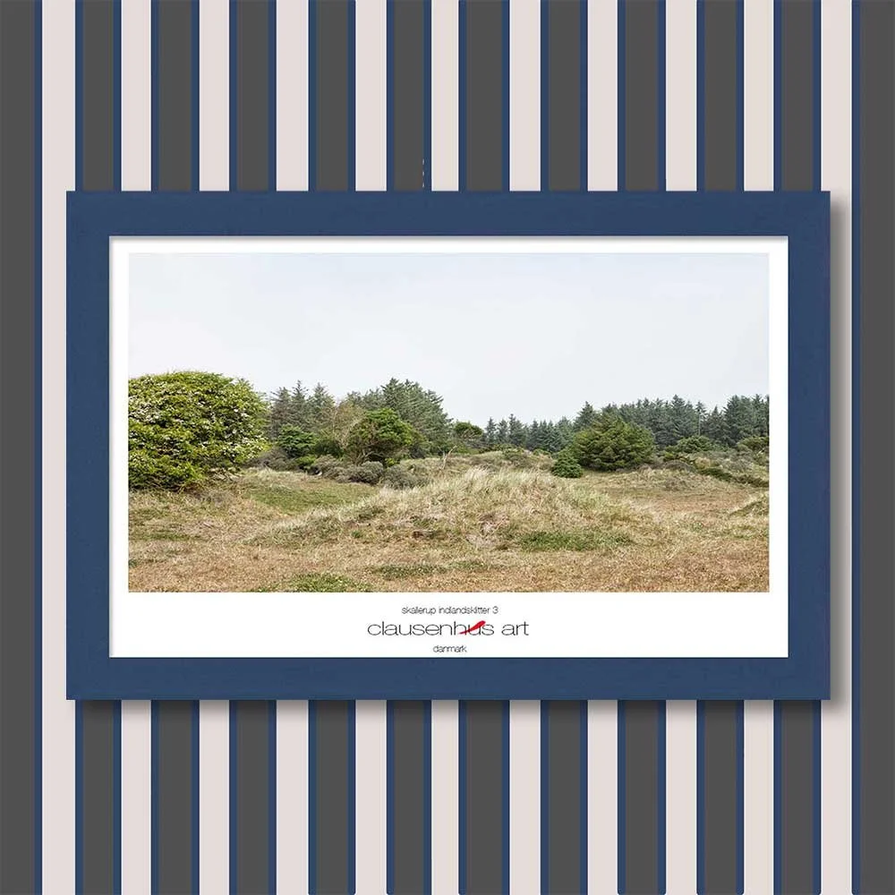 skallerup-indlandsklitter-3-copy.jpg